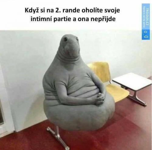 Nepřišla