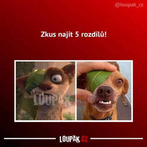  Rozdíl 