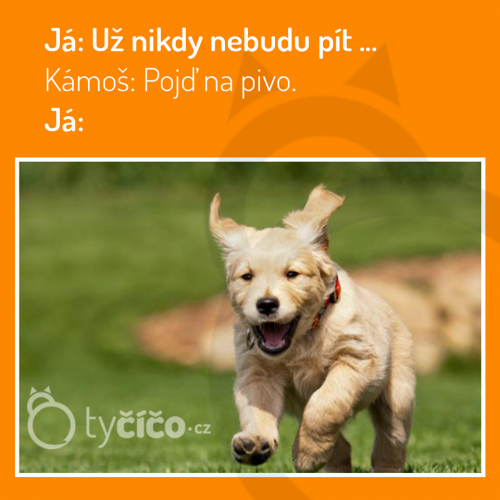  Pojď na pivo 