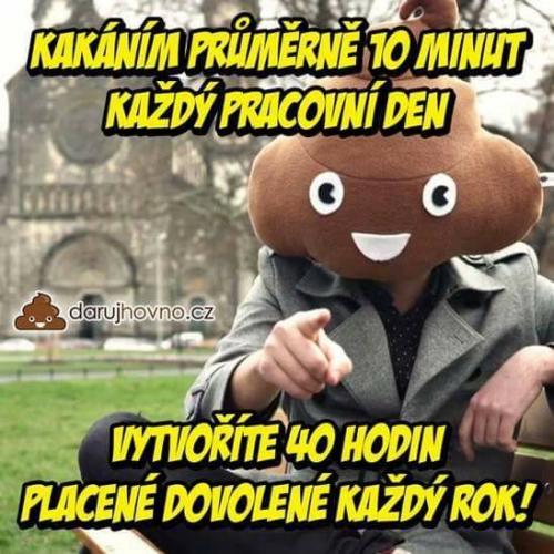  Každý rok 