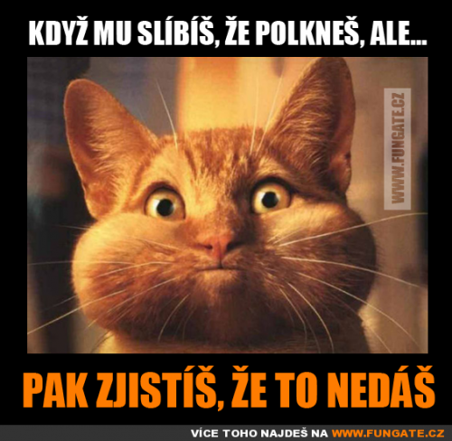 Polkneš