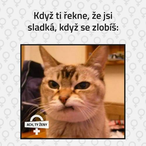 Zlobíš se