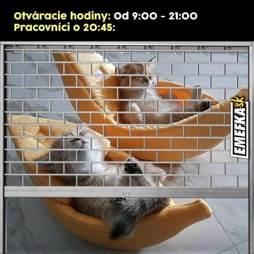 Většinou to tak bývá