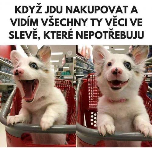  Věci ve slevě 