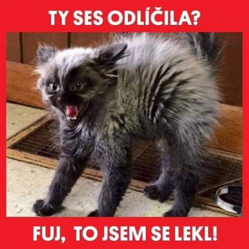 Odlíčení