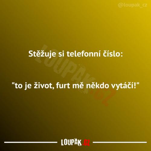 Asi se mu to nelíbí