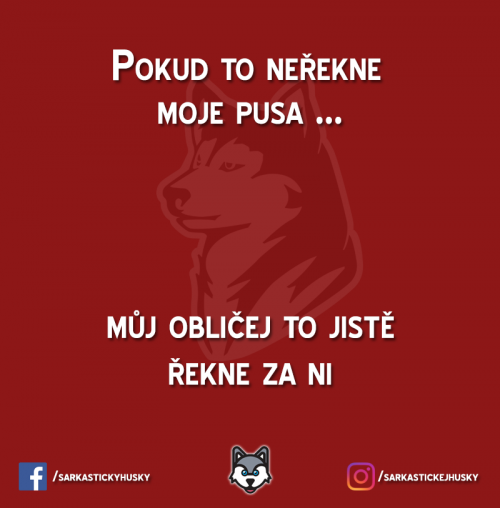 Moje pusa