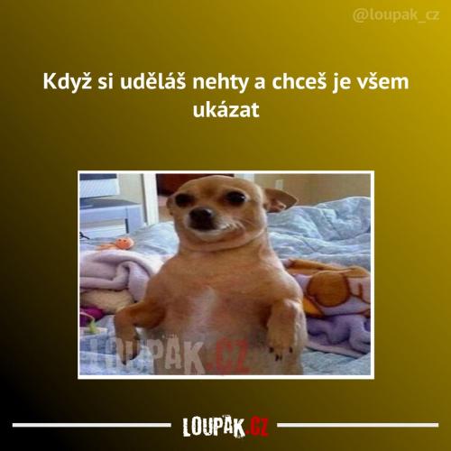  Všichni to musí vidět 