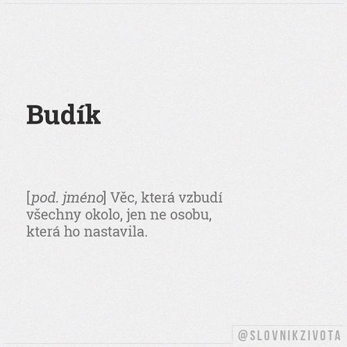  Budík 