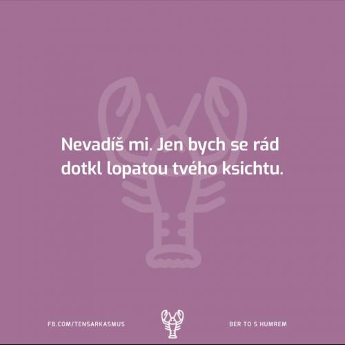 Nevadíš mi
