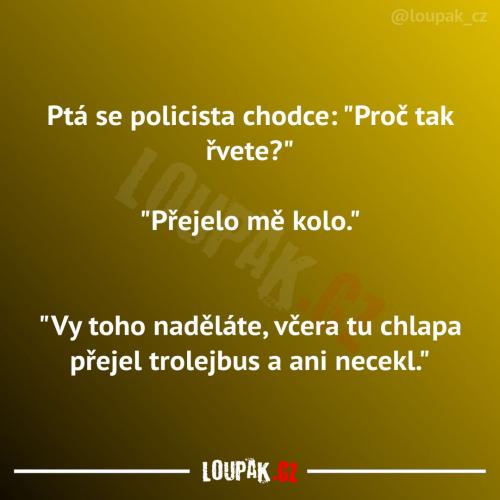  Proč vůbec tak hodně řve 