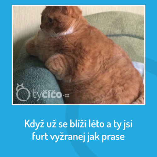  Léto je tu 