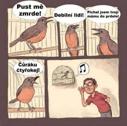 Zm#de