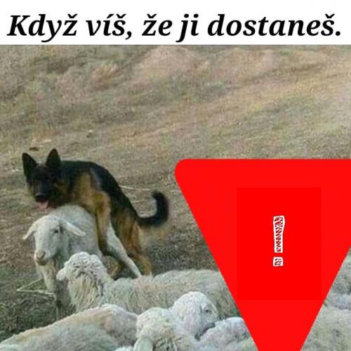 Dostaneš