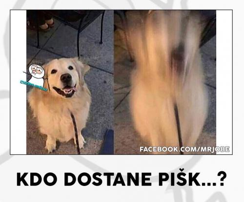 Piišk