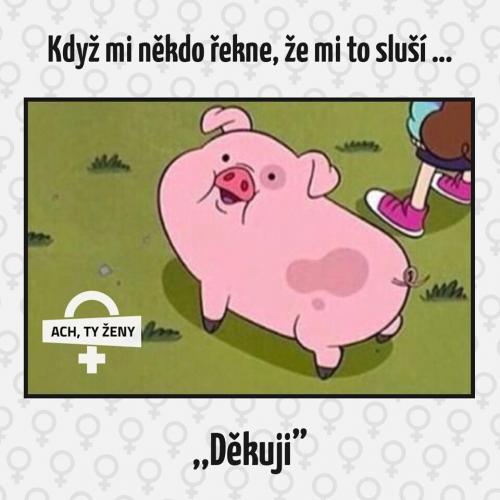 Děkuji