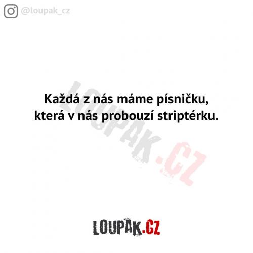  Písnička 