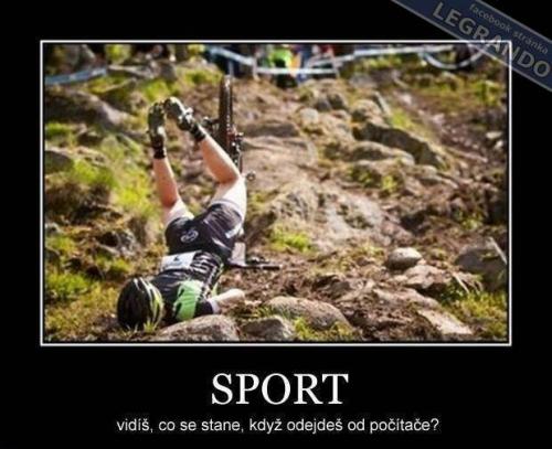 Sport