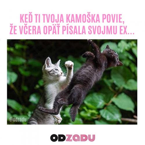  Svůj ex 