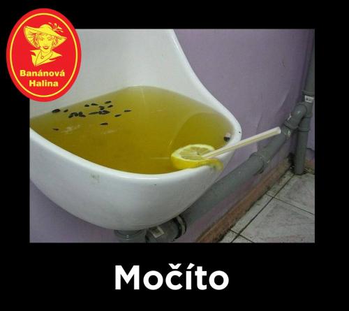 Močíto