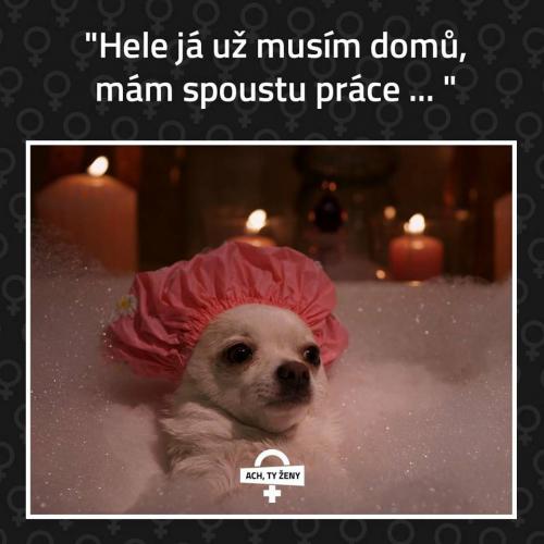  Spousta práce 