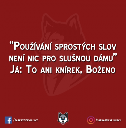 Božena dostala naloženo