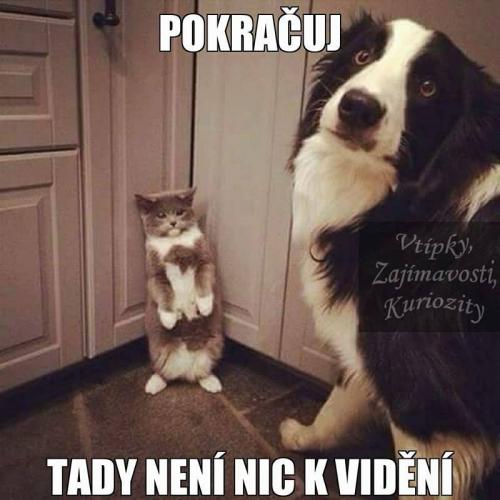 Pokračuj