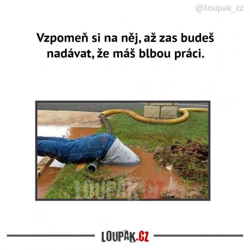  Práce 