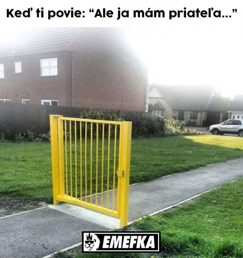  Přítel 