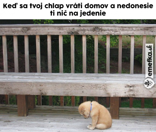  Návrat 