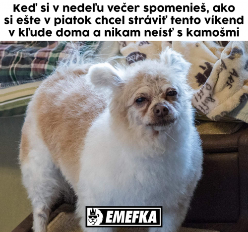  Víkend 