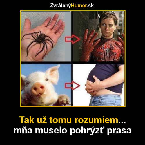  Rozumím 