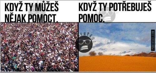 Pomc