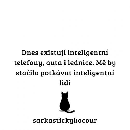  Inteligence 