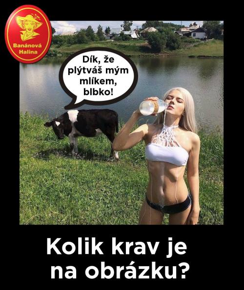 Blbko