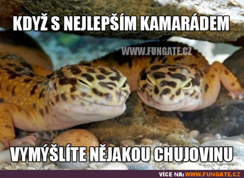  Nejlepší kamarád 