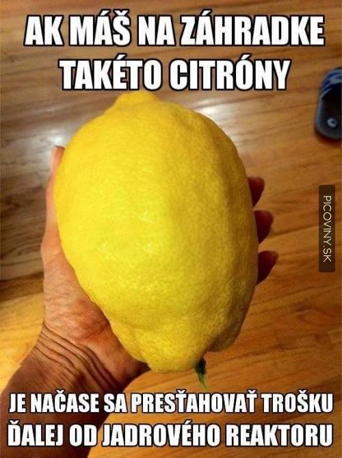 Citrony