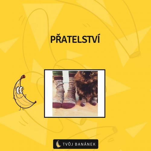  Přátelství 