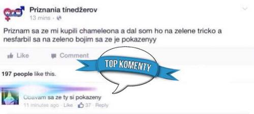 Přiznávám se že