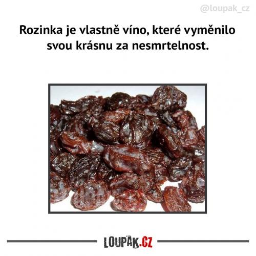 Rozinka