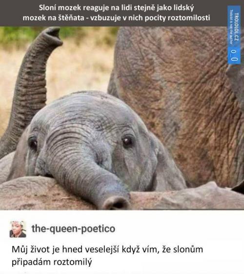 Sloooon