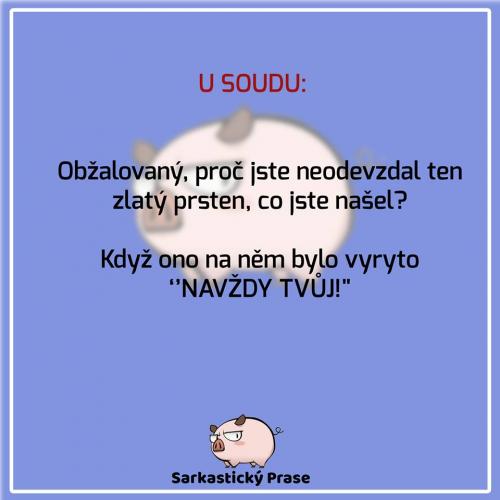 U soudu