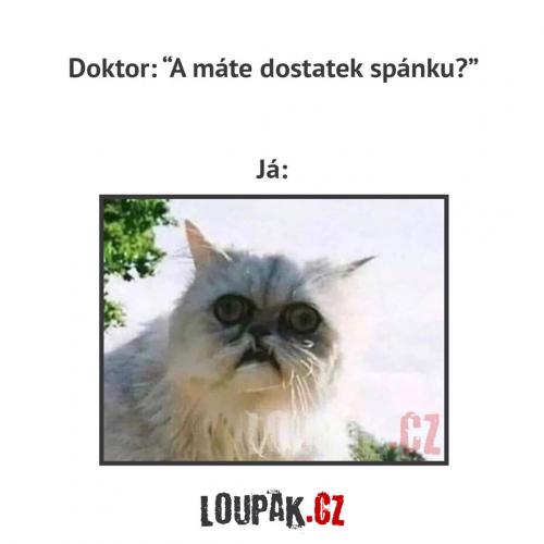  Spánek 