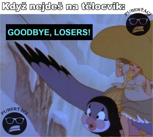 Goodbye