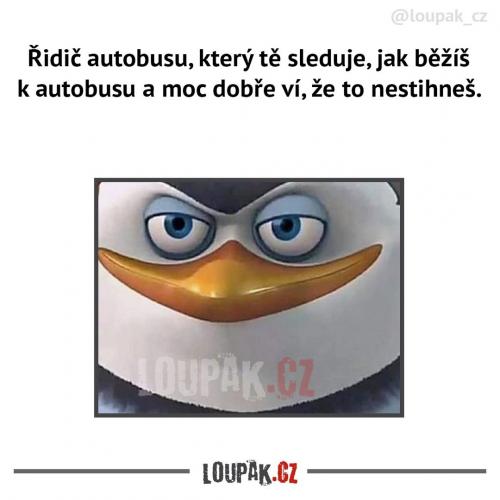  Moc dobře to ví 