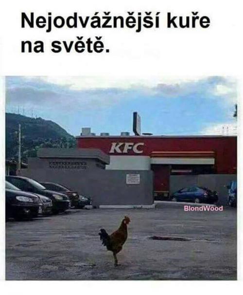  Kuře 
