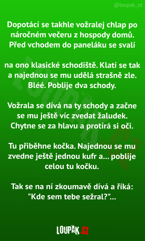  Ožralej chlap po náročném večeru 