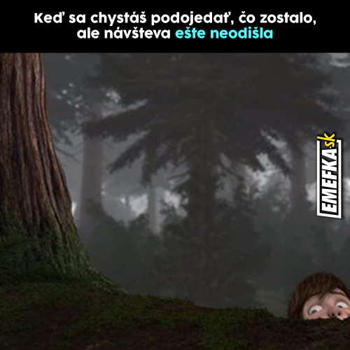 Návštěva