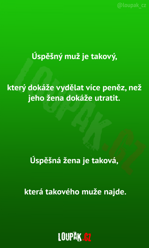  Úspěšný muž a žena 