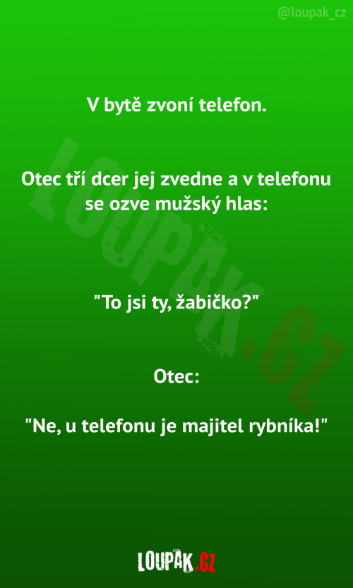  Zvoní telefon 